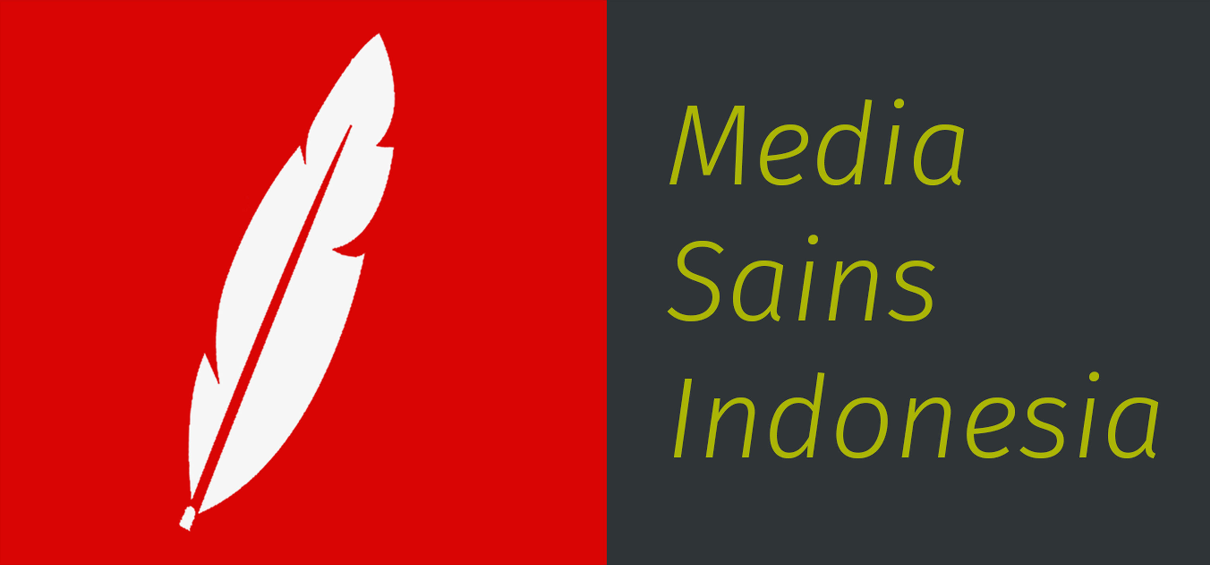 logo medsan